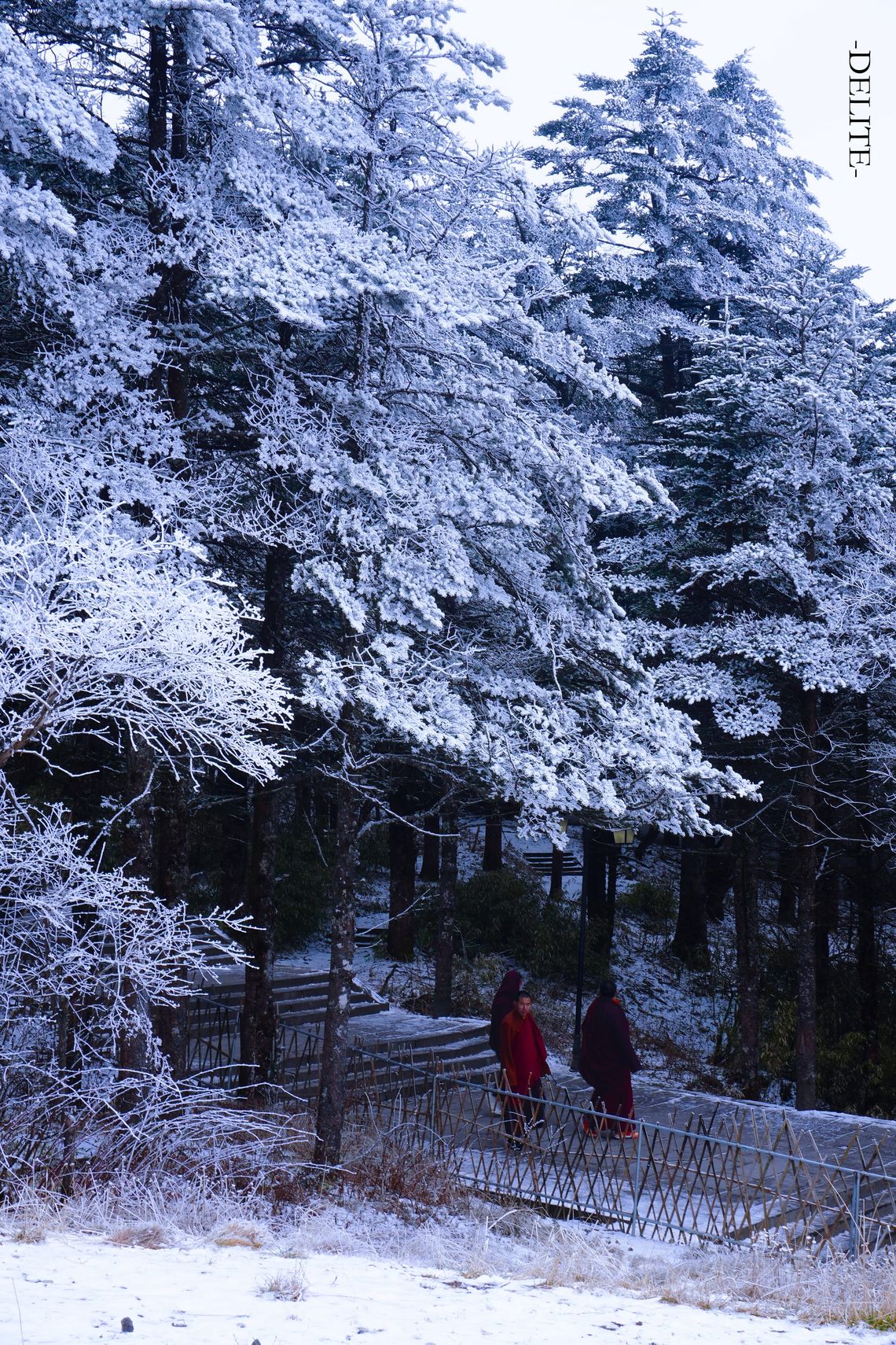 ————Irdische Welt————