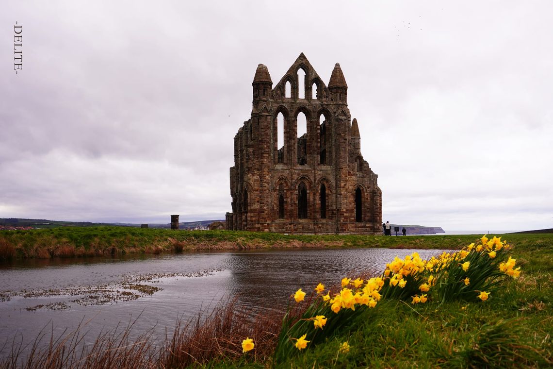 ————Bloom Beyond the War————