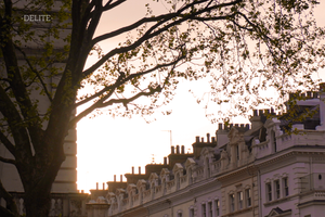 ————Still————