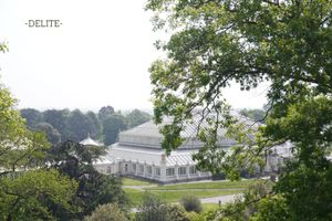 ————Green House————