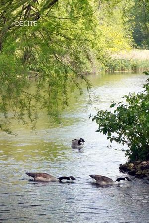 ————Run for It!!!————