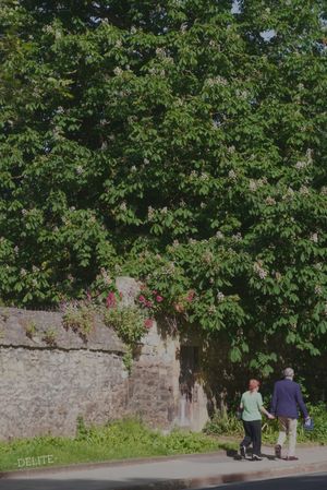 ————Red over the Wall————