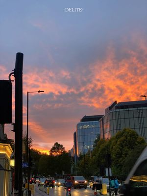 ————Flamengo————