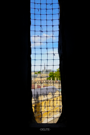 ————Window————