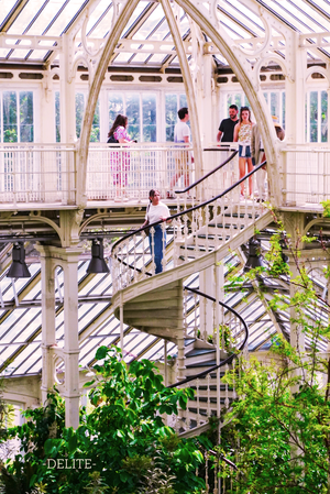 ————Spirals————