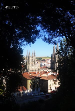 ————A Glimpse into Glory————