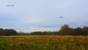 ————Champaign————