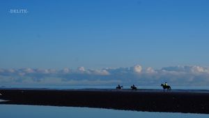 ————Mirror Sea————