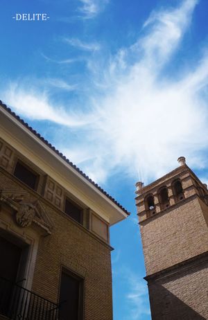 ————Cloud Bloom————