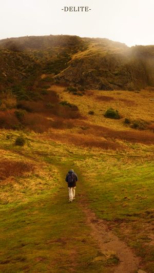 ————The Long Slow Haul————