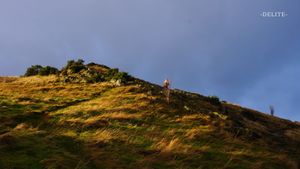 ————Golden Highland————