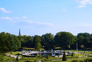 ————Vineyard Pond————