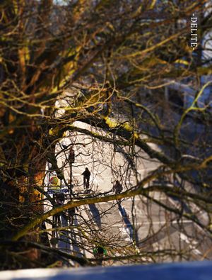 ————晴午————