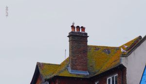 ————Sea Breeze————