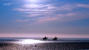 ————Under the Sea and Sky————