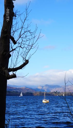 ————孤帆————