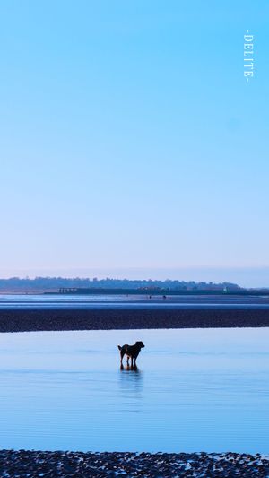 ————等海————