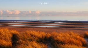 ————Golden Rye————