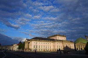 ————Night Light————