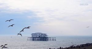 ————Sky End————