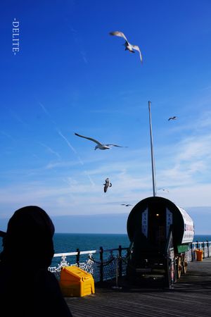 ————Harmony————