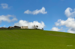 ————Cottage on the Hillside————