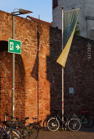 ————Gloaming Zephyr————