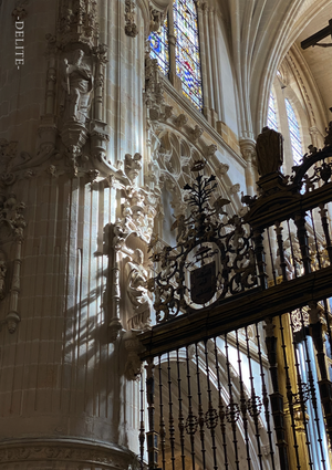 ————Symphony of Light and Shadow————