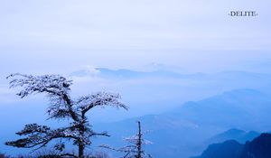 ————Washed by the Wind————