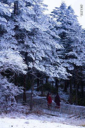 ————Irdische Welt————