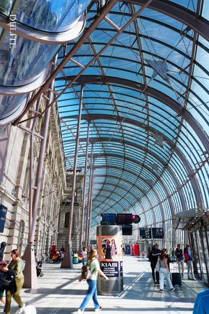 ————In the Wind's Wake————