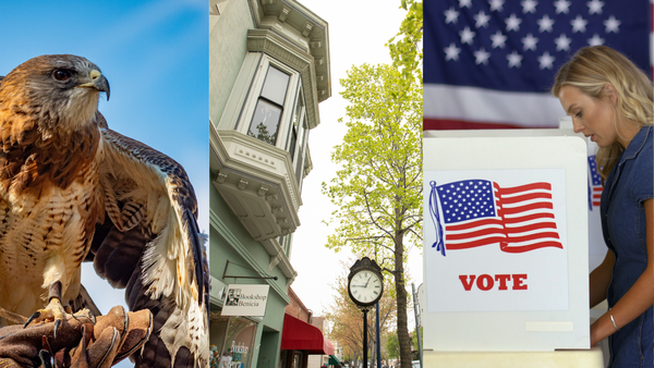 Benicia News: School Board race, new business funding and developers target local hawk