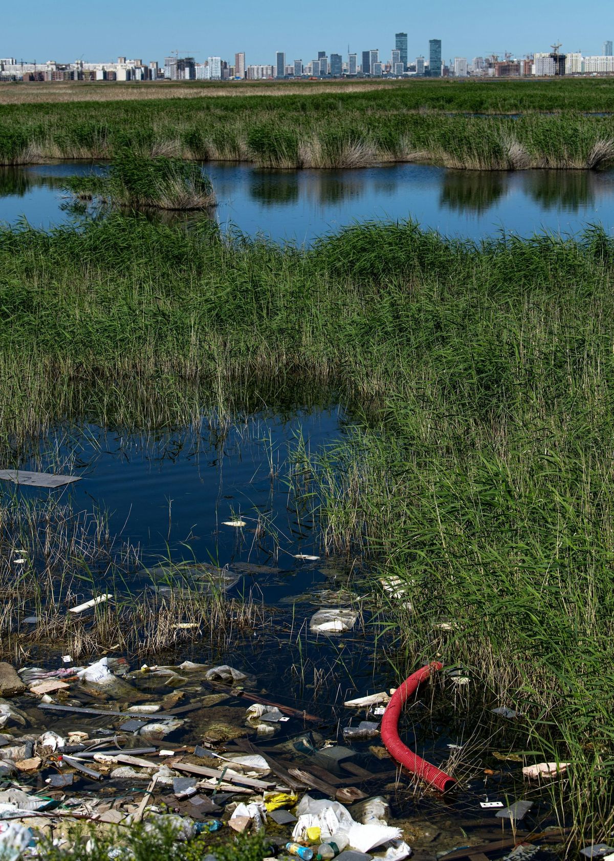 The Shadow Cost of AI: Water, Energy, and Planetary Resources