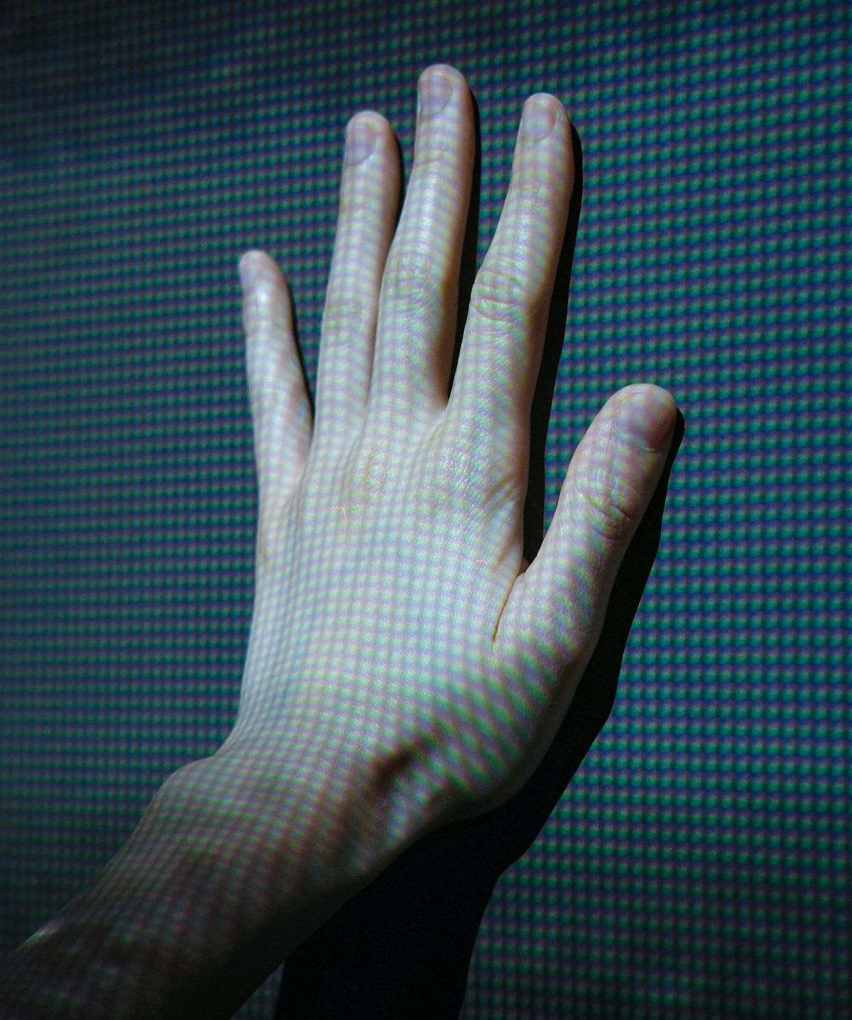 The Default Dilemma: Are Pretrained Biases Deciding Your Fate?