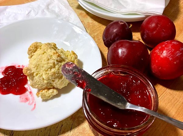 Richmond gardens burst with Santa Rosa plums as harvest season begins