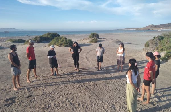 ¡Bienvenido a Sustrato! 🌱