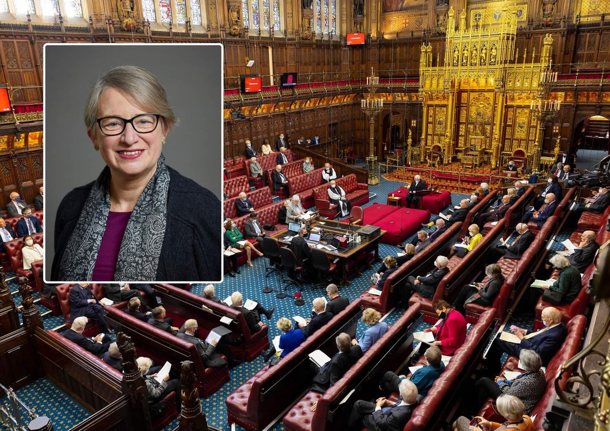 Baroness Bennett of Manor Castle spoke at a House of Lords debate on the Great British AI copyright heist
