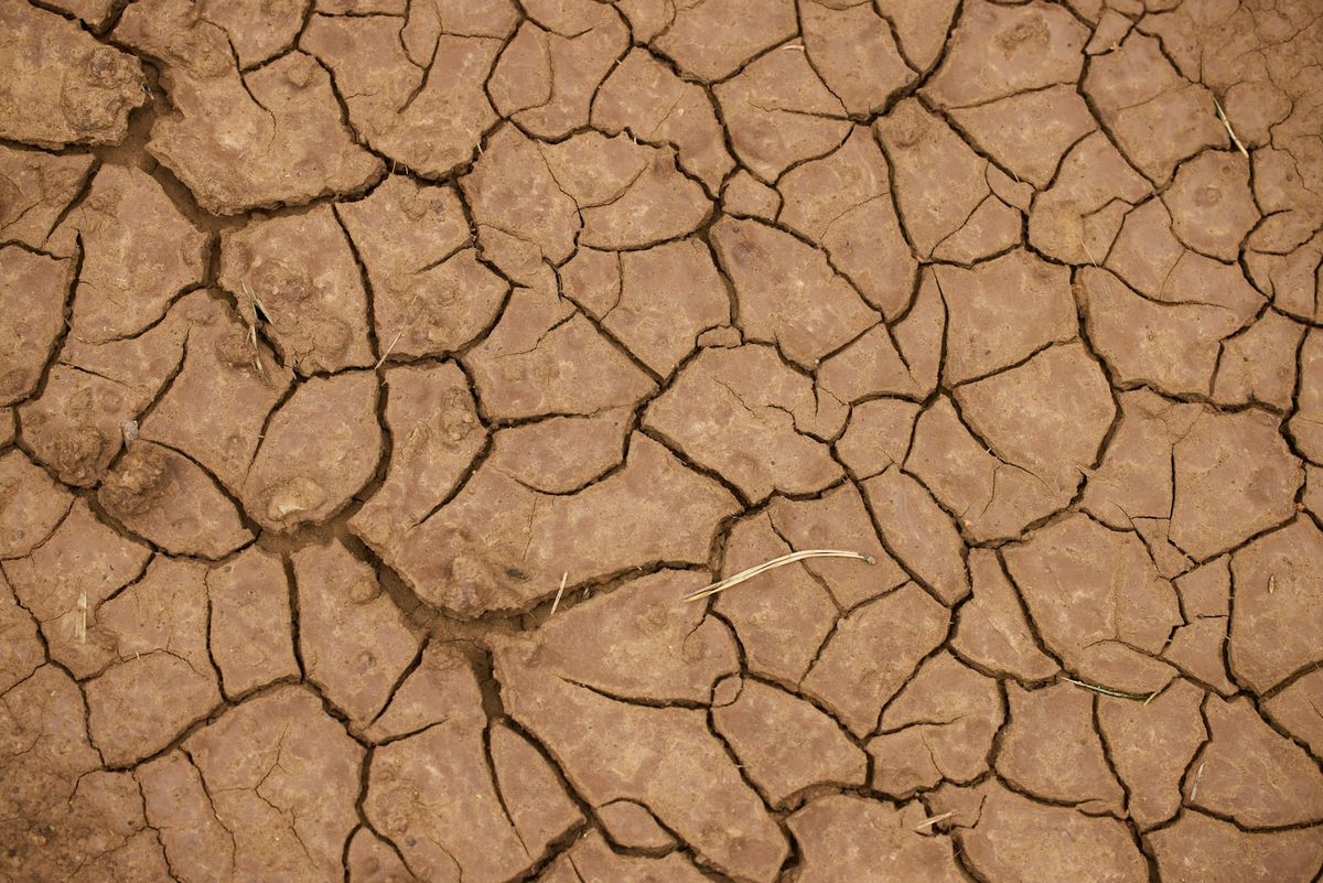 Water shortages could be disastrous for chip manufacturing and the AI sector that depends on semiconductors produced in frighteningly few locations (Image: Unsplash)