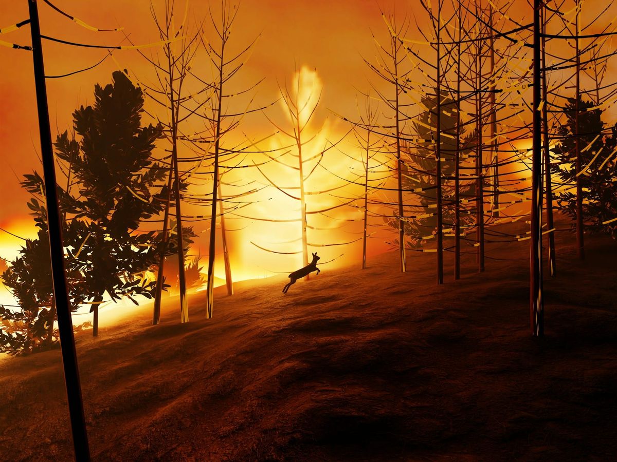 File photo of a deer running near a wildfire taken in 2024 (Image: Unsplash)