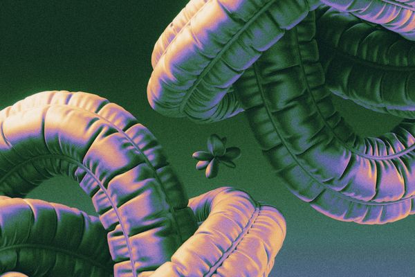 The worm is turning into something potentially much nastier after being forked on GitHub