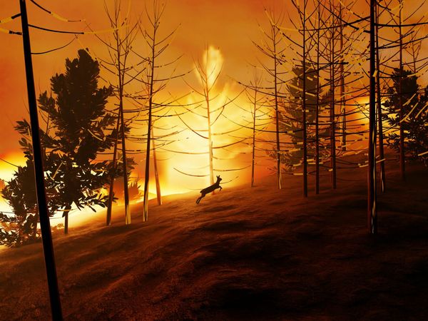 File photo of a deer running near a wildfire taken in 2024 (Image: Unsplash)
