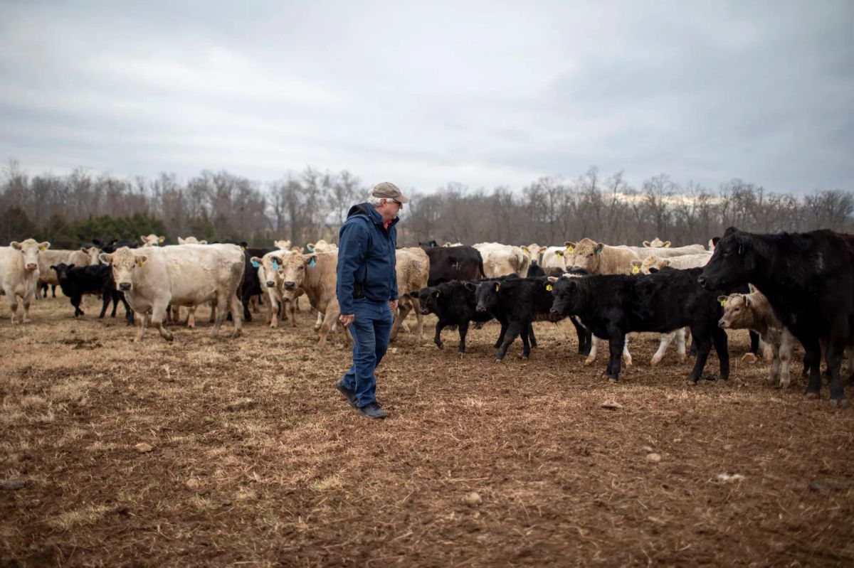 An activist group is spreading misinformation to stop solar projects in rural America