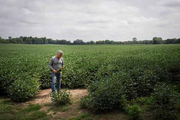 Fossil fuel interests are working to kill solar in one Ohio county. The hometown newspaper is helping.