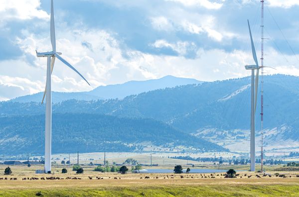 Even in red America, clean energy is booming. But now, huge renewable projects are dead.