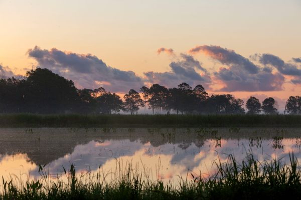 Here’s how we ID’d Louisiana federal judges with connections to oil companies