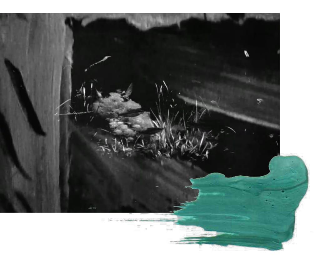 "This tour was so expensive. These tours always are."