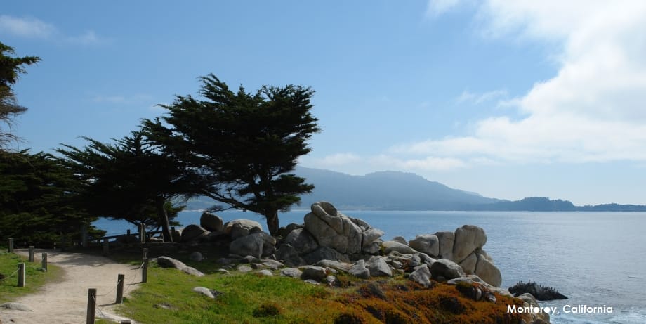 monterey_banner.jpg