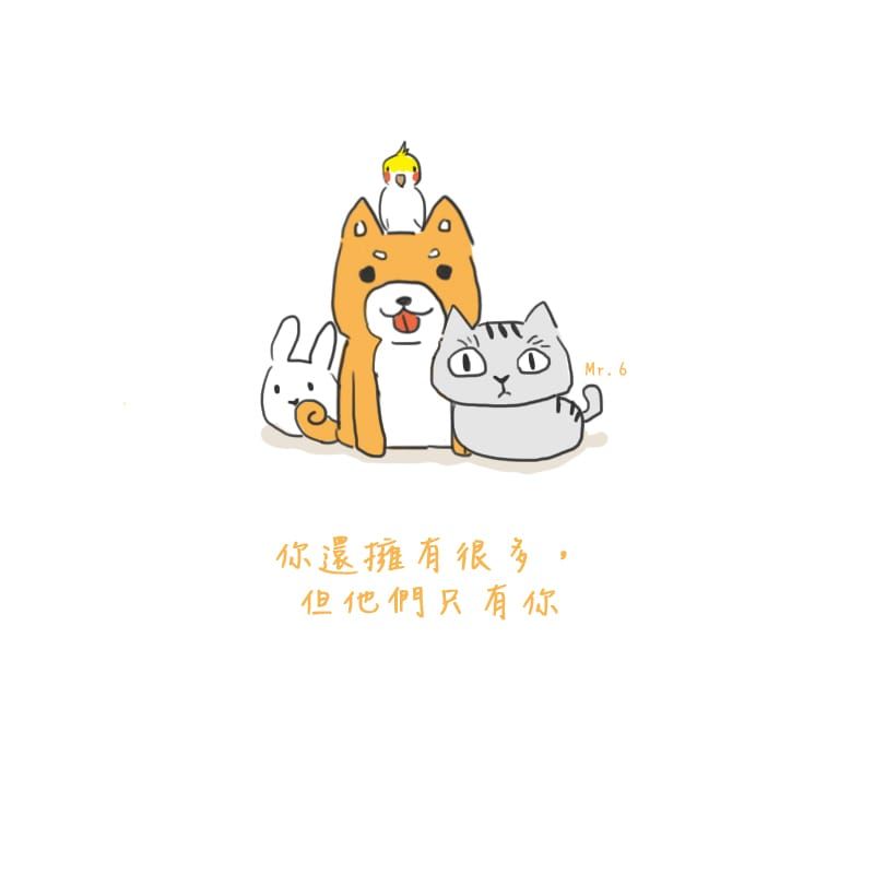 珍惜周遭的動物，重視生命價值。