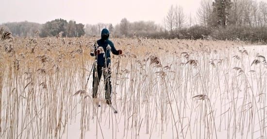 Rochester大學研究：當你沒錢的時候，只要「相信」自己仍能主導一切，至少能長命百歲