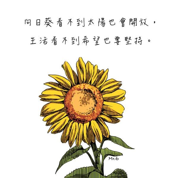 只要堅持，就會開花結果。